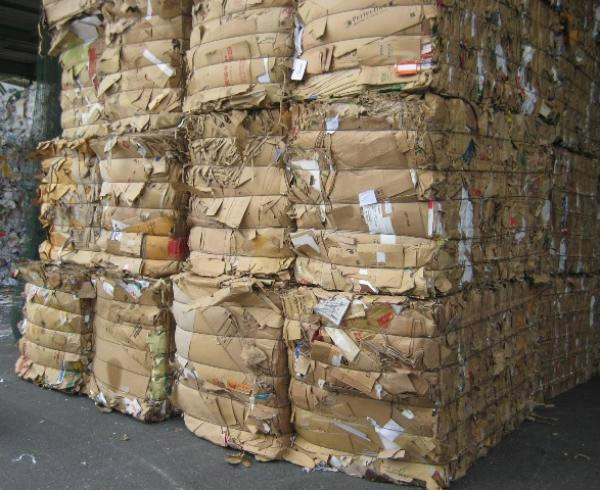 Giá bìa carton phế liệu